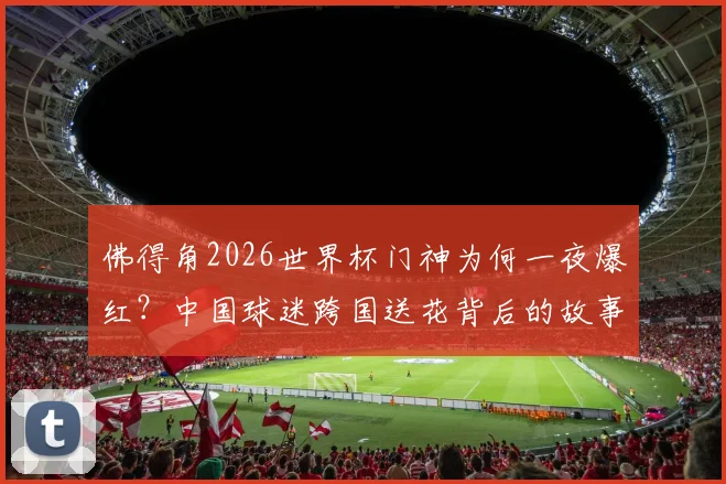 佛得角2026世界杯门神为何一夜爆红？中国球迷跨国送花背后的故事全解析