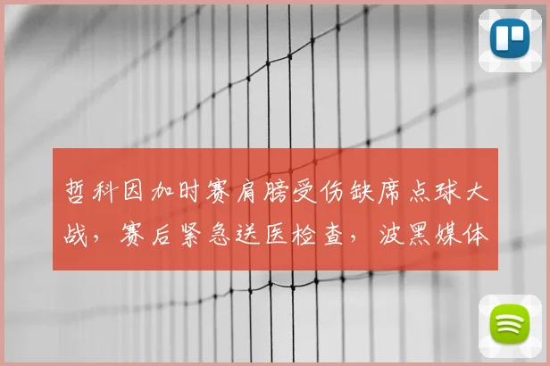 哲科因加时赛肩膀受伤缺席点球大战，赛后紧急送医检查，波黑媒体披露关键伤情